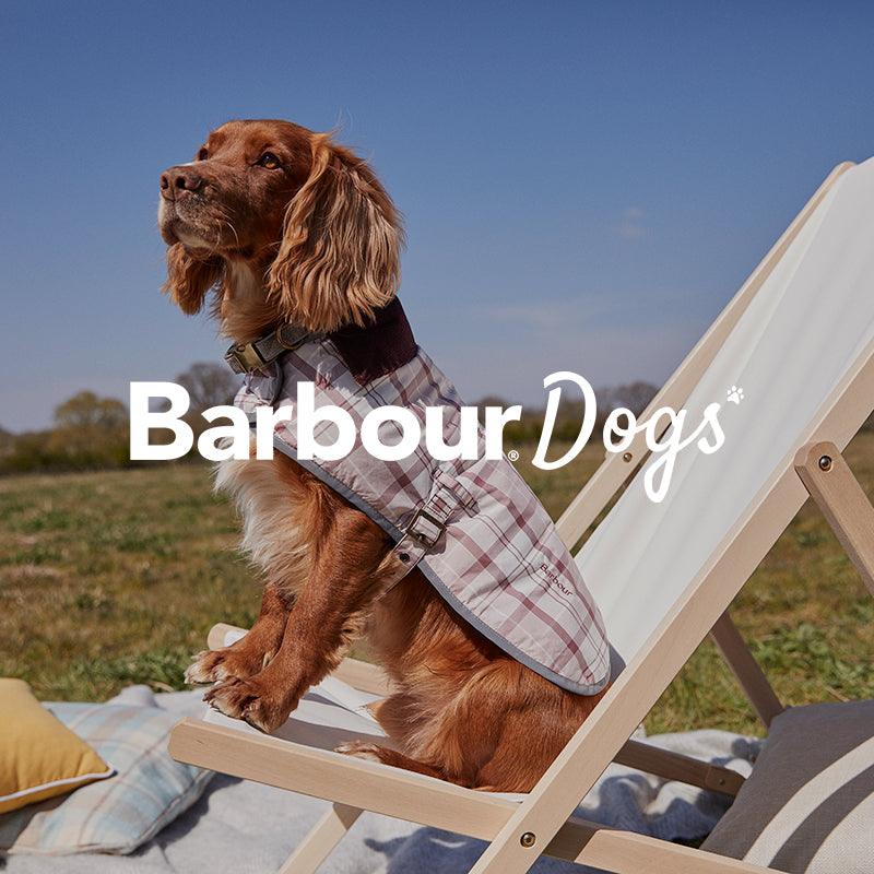 BARBOUR DOGS - BARBOUR DOGS chez Klubb LE MANS