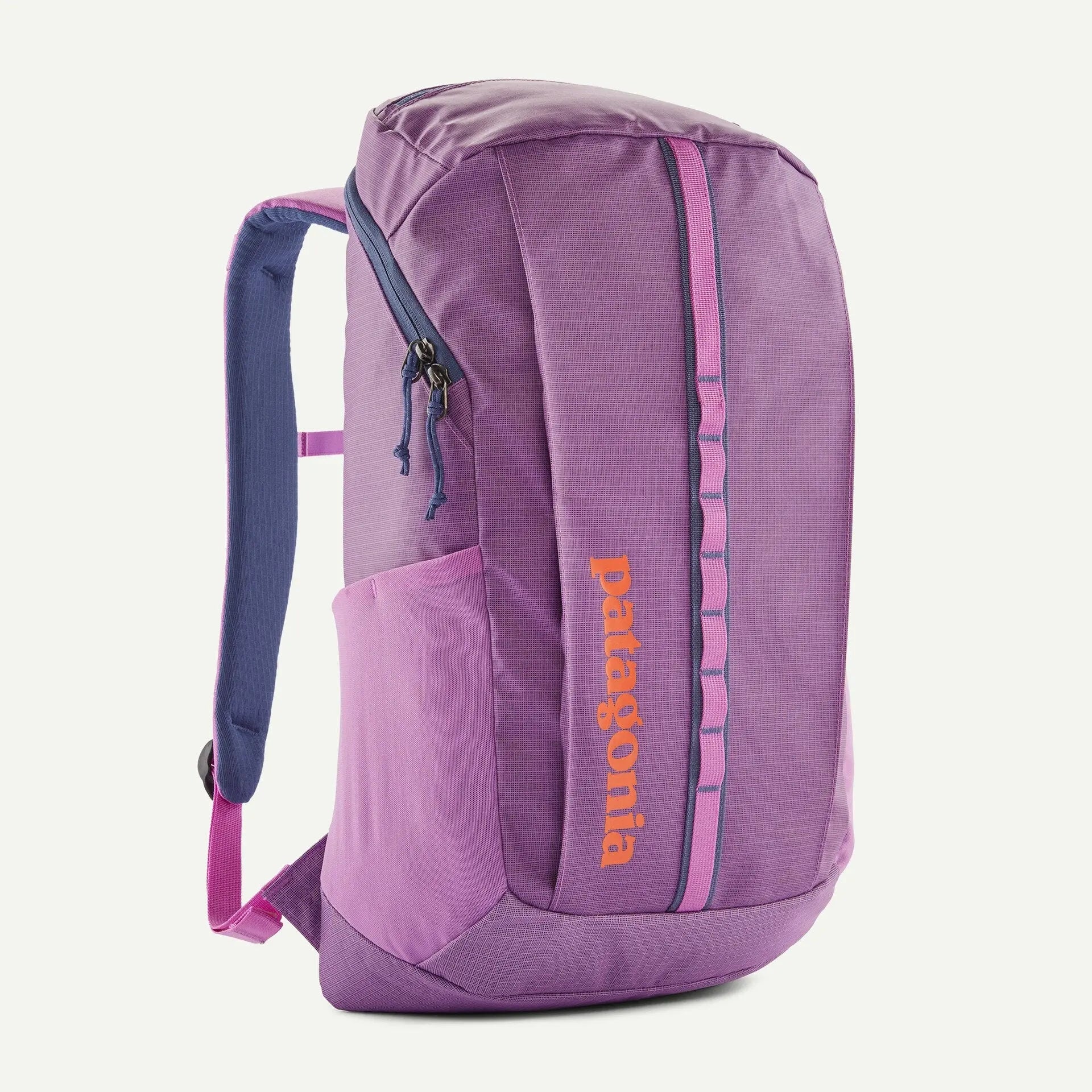 PATAGONIA -  BLACK HOLE 25L BRISK PURPLE -  Klubb