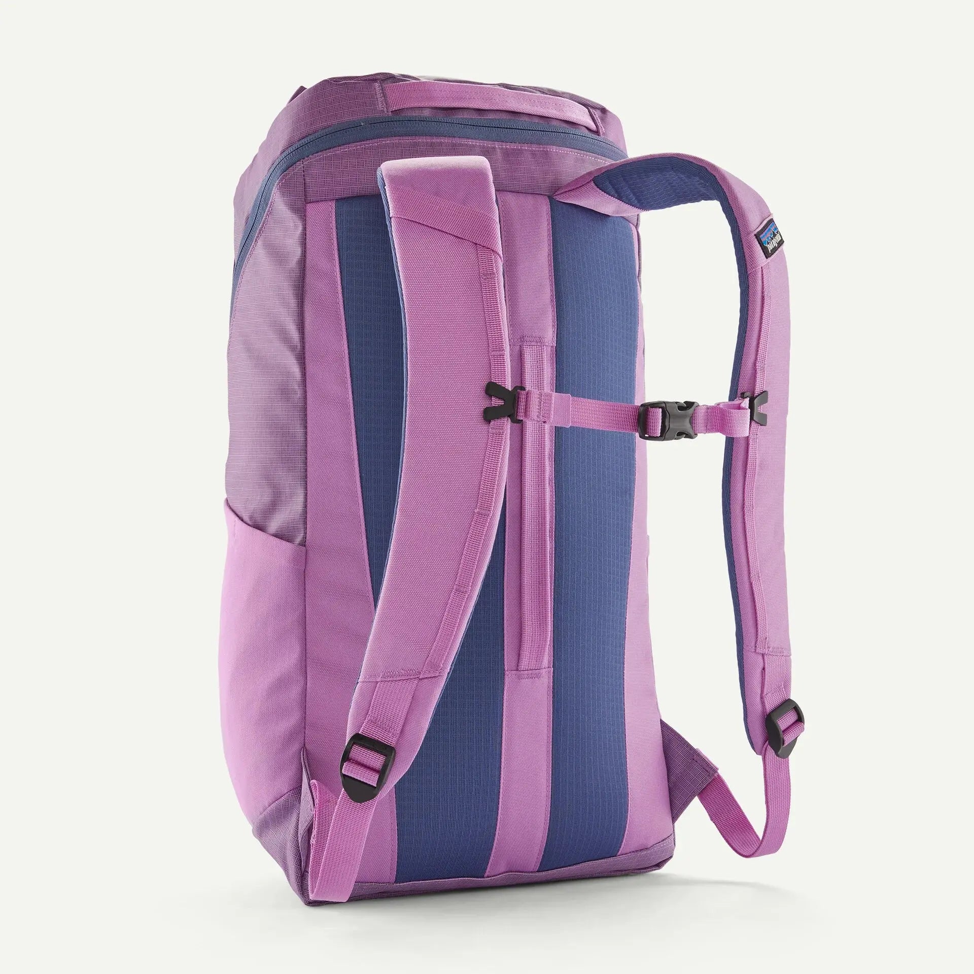PATAGONIA -  BLACK HOLE 25L BRISK PURPLE -  Klubb