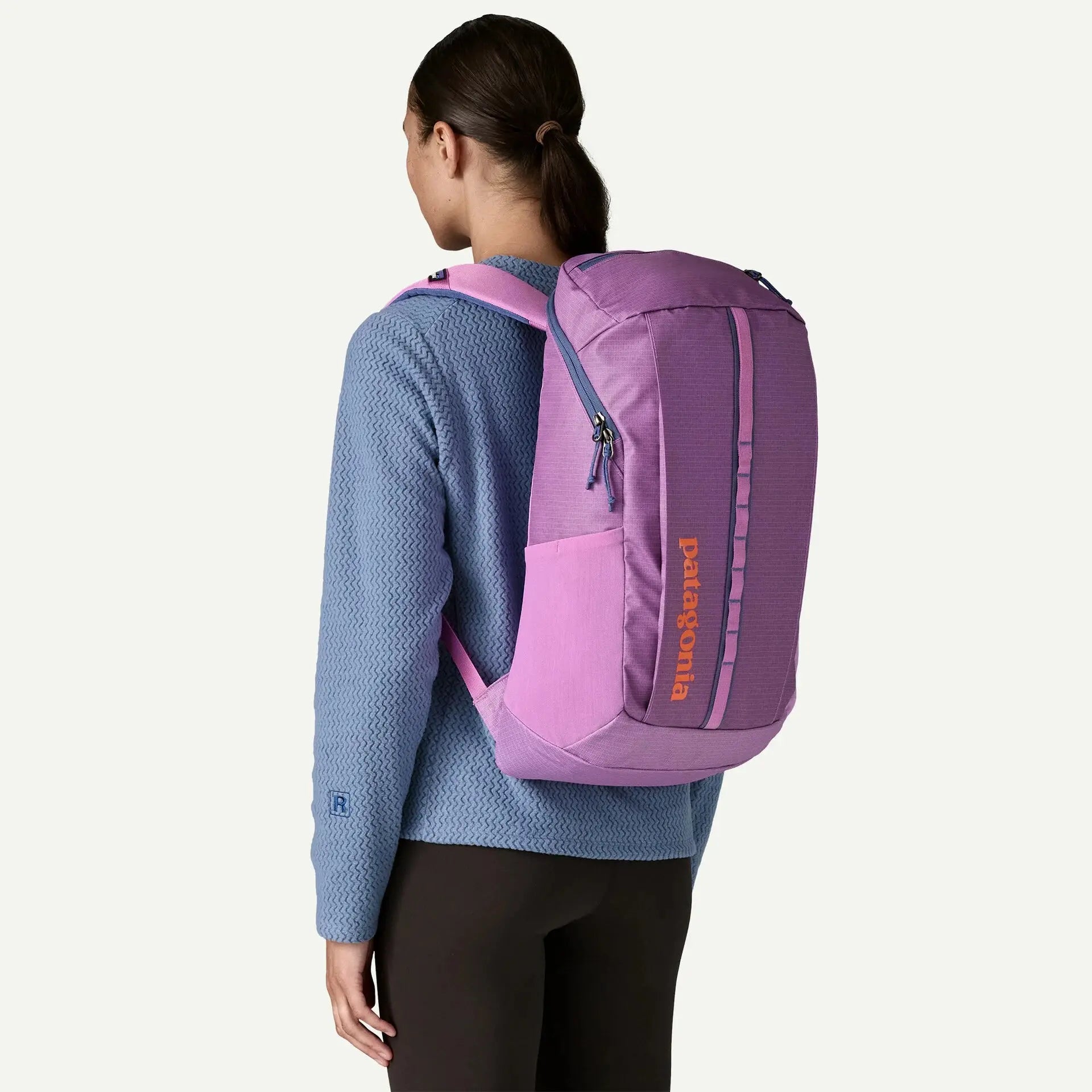 PATAGONIA -  BLACK HOLE 25L BRISK PURPLE -  Klubb