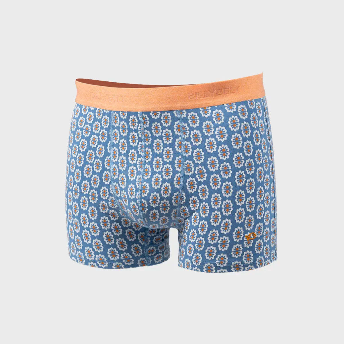 BOXER AZULEJO BILLYBELT -  Klubb