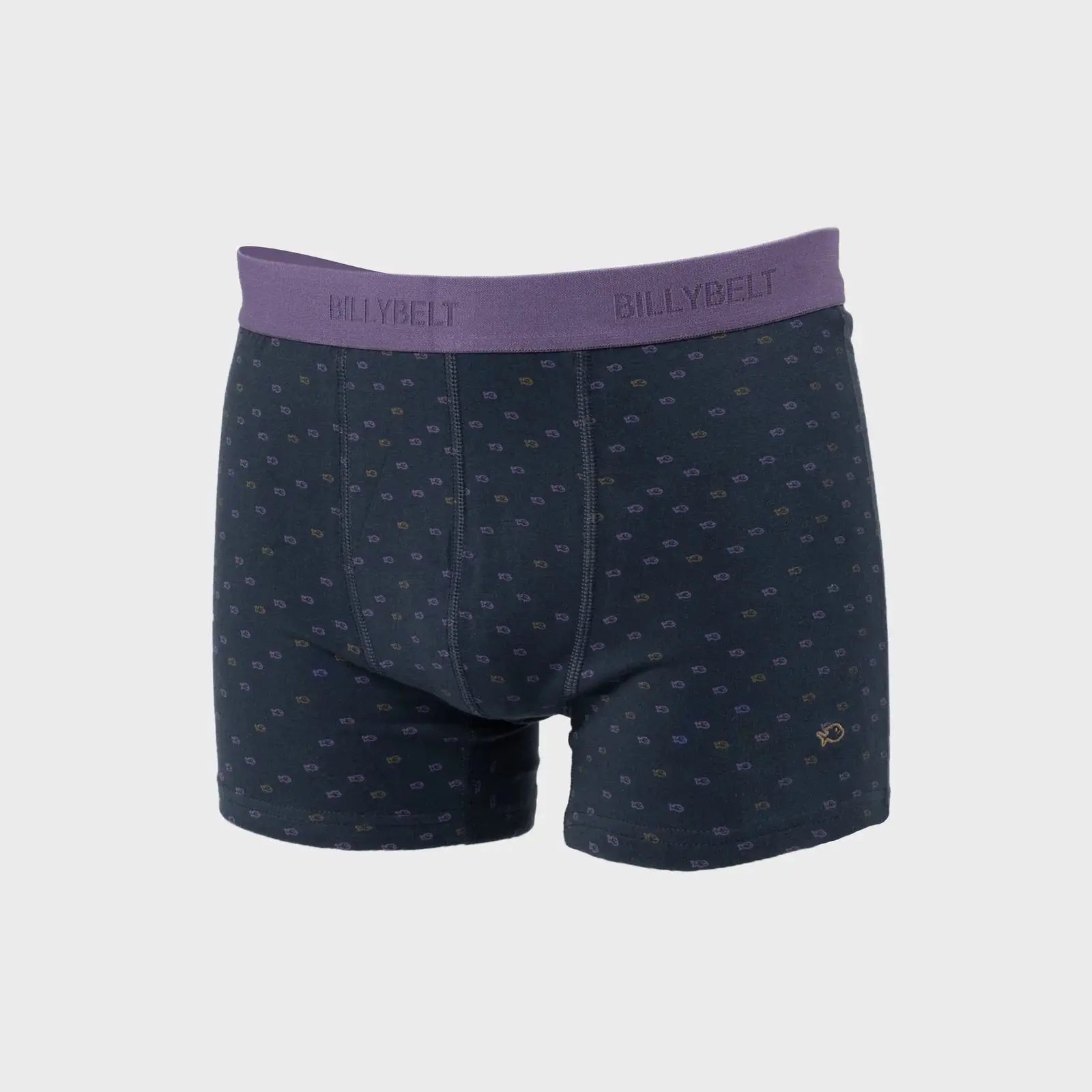 BILLYBELT -  BOXER BILLY PURPLE -  Klubb
