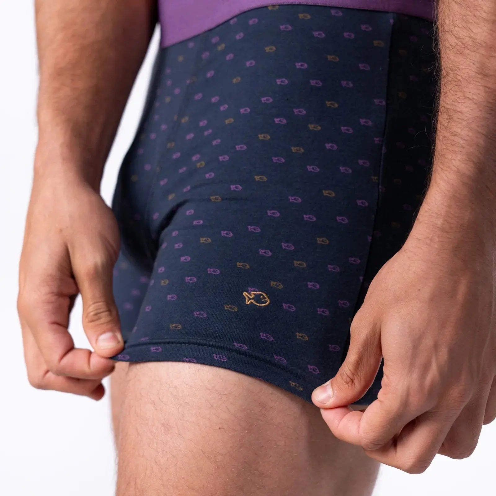 BILLYBELT -  BOXER BILLY PURPLE -  Klubb