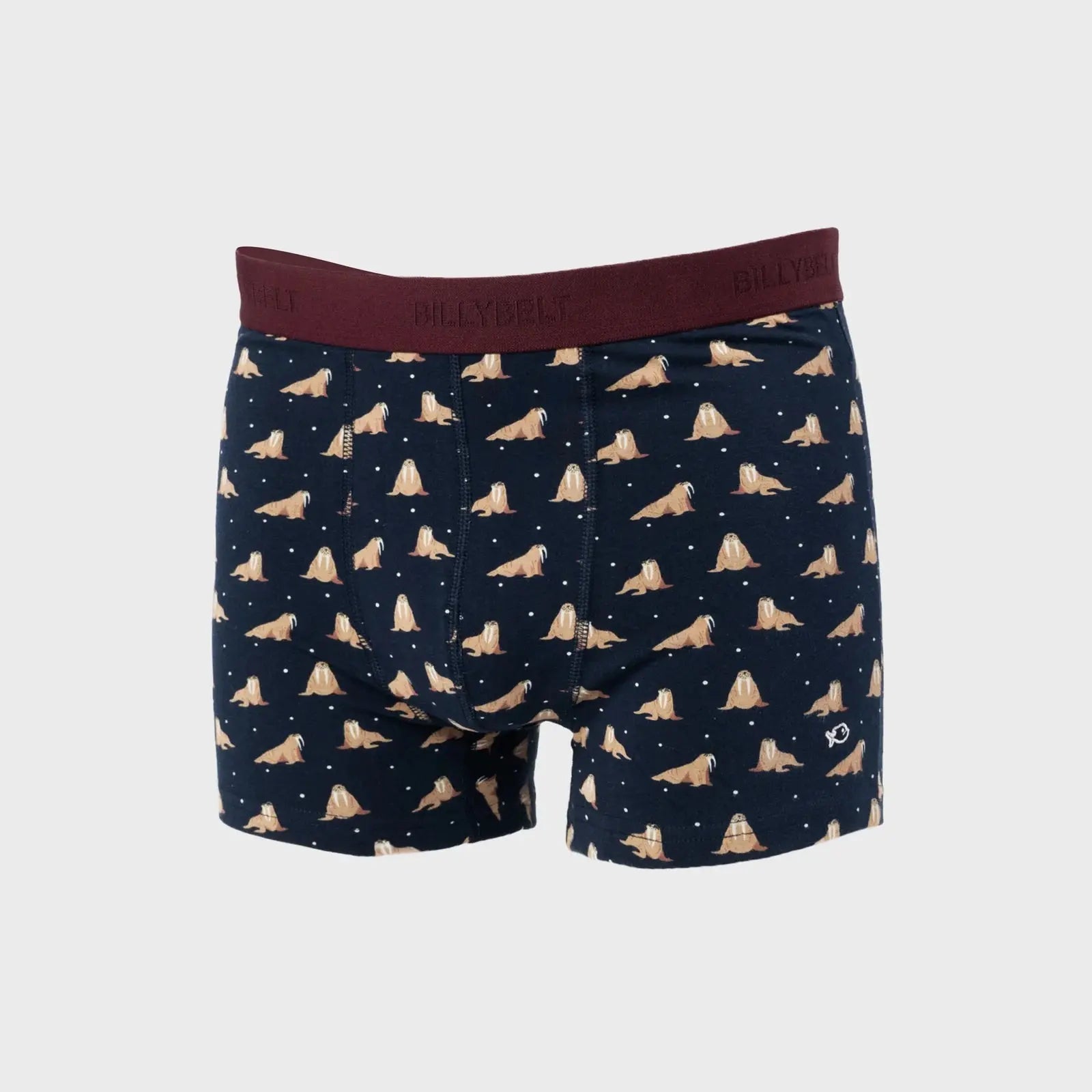 BILLYBELT -  BOXER FREYA -  Klubb
