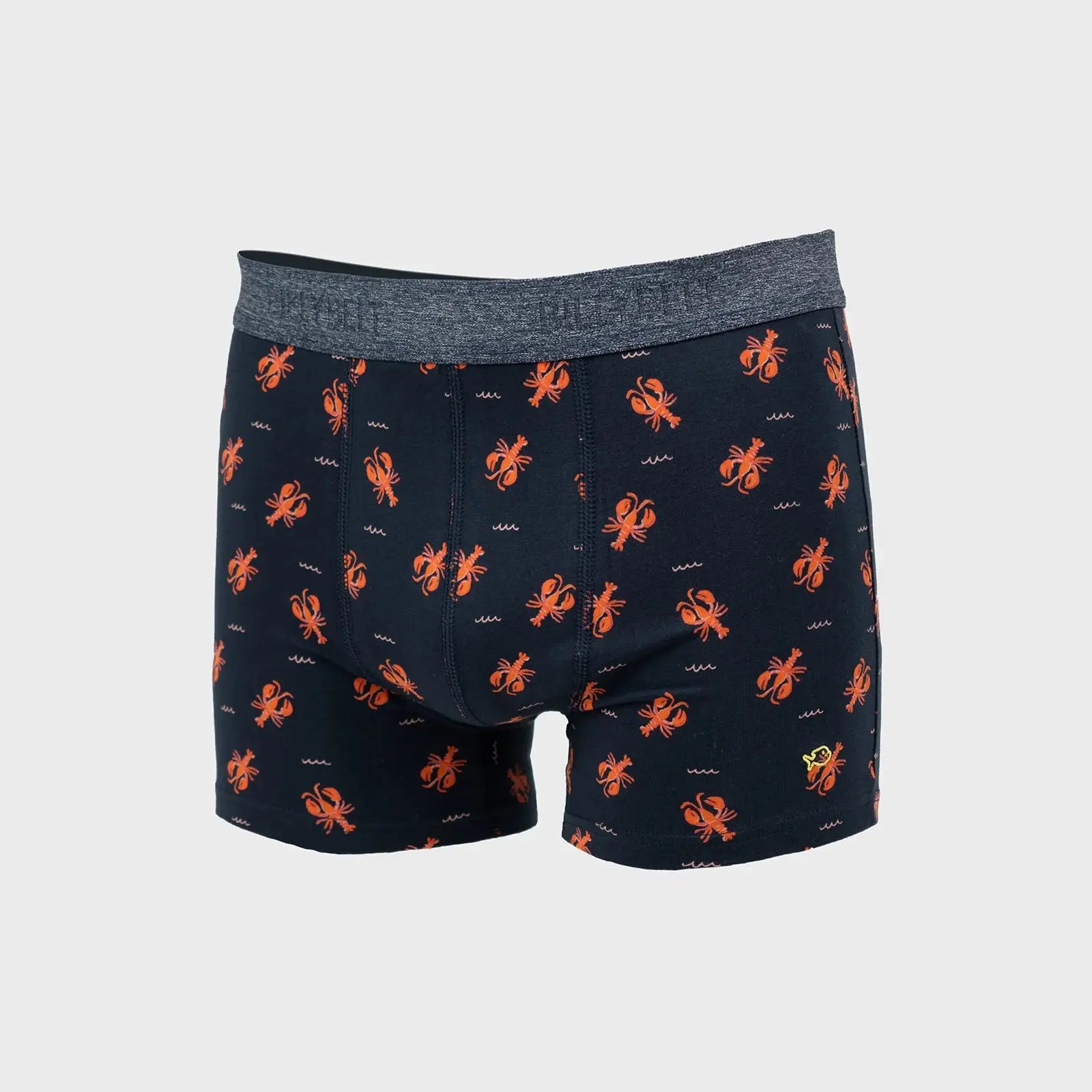BOXER LOBSTER BILLYBELT -  Klubb