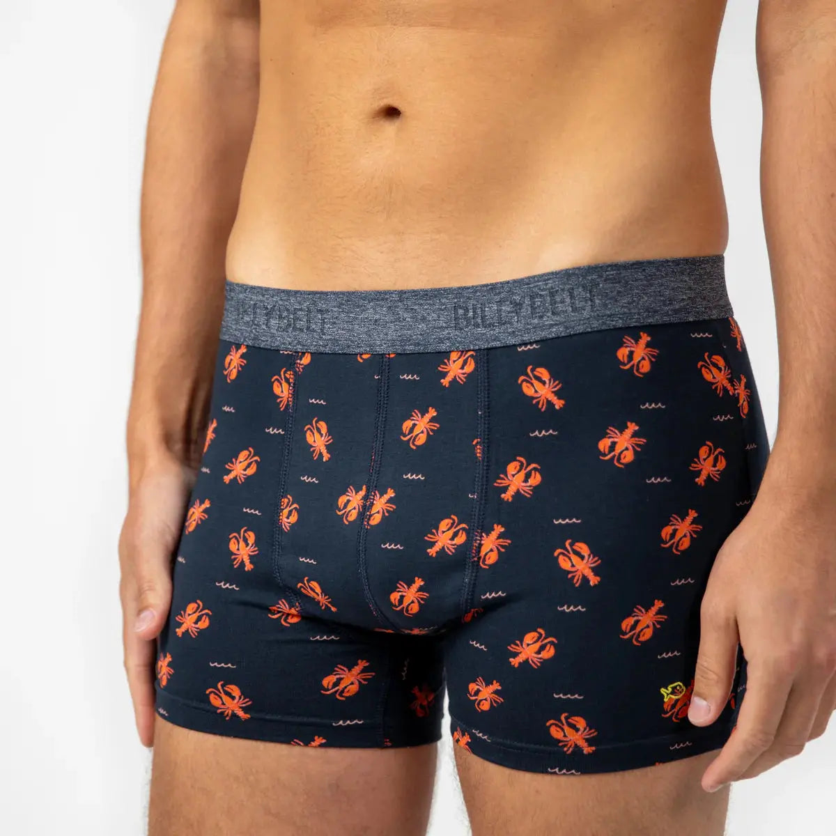 BOXER LOBSTER BILLYBELT -  Klubb