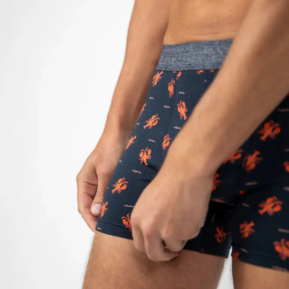BOXER LOBSTER BILLYBELT -  Klubb