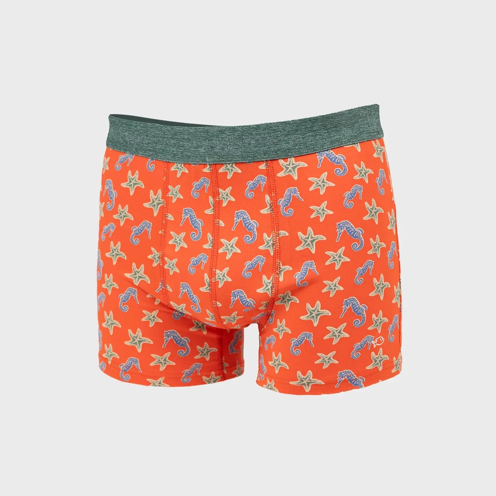 BOXER SEAHORSE BILLYBELT -  Klubb