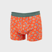 BOXER SEAHORSE BILLYBELT -  Klubb