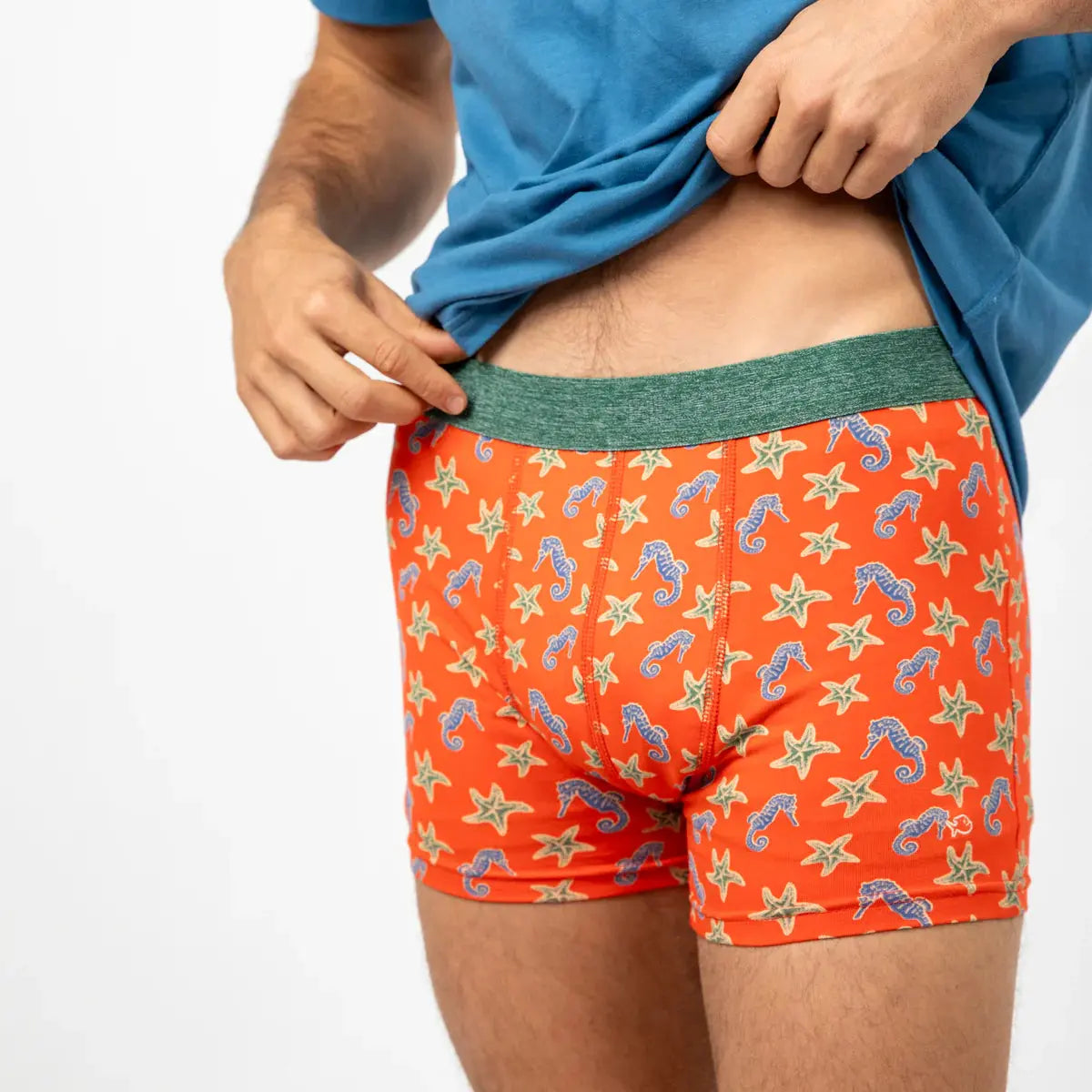 BOXER SEAHORSE BILLYBELT -  Klubb