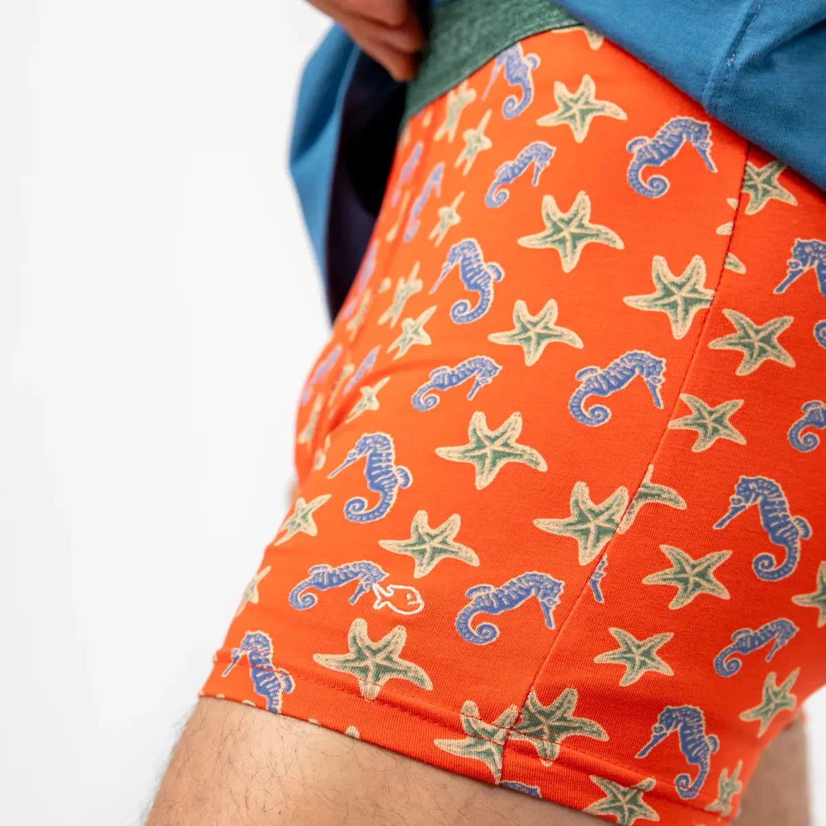 BOXER SEAHORSE BILLYBELT -  Klubb