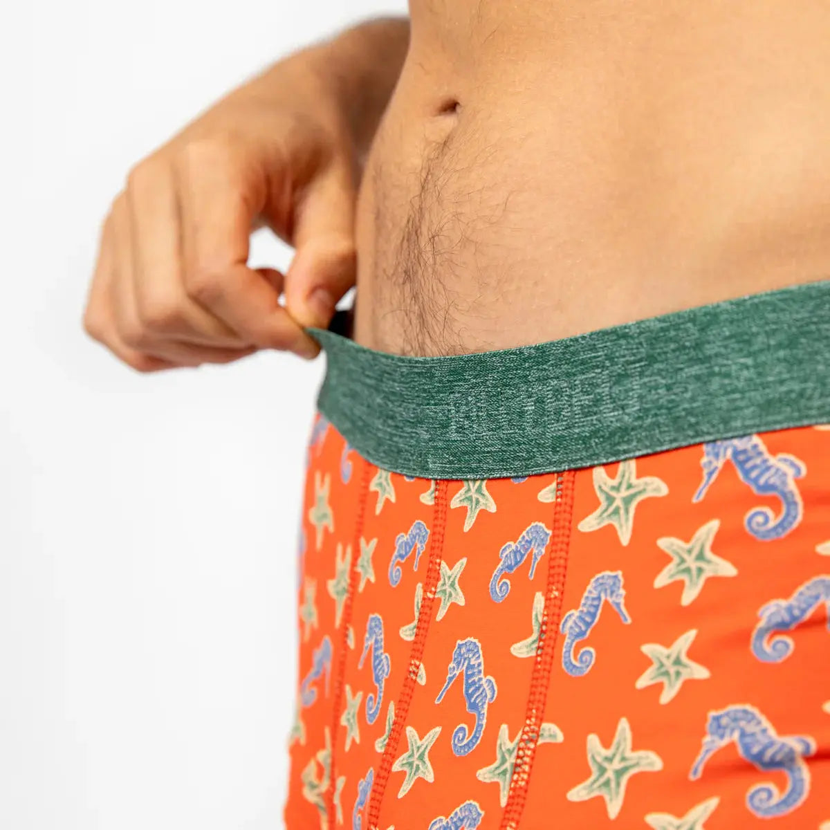 BOXER SEAHORSE BILLYBELT -  Klubb