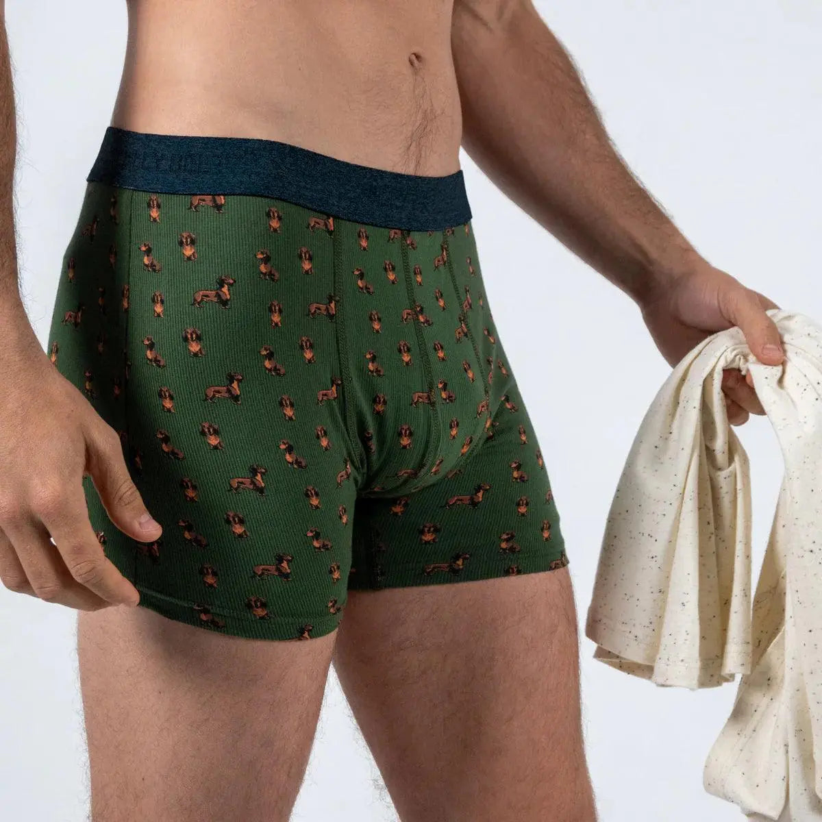 BOXER TECKEL BILLYBELT -  Klubb