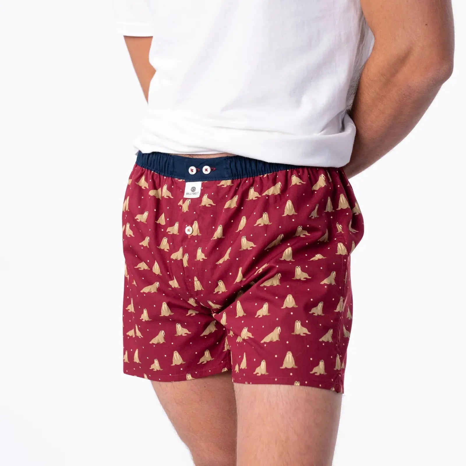 BILLYBELT -  CALEÇON WALRUS -  Klubb