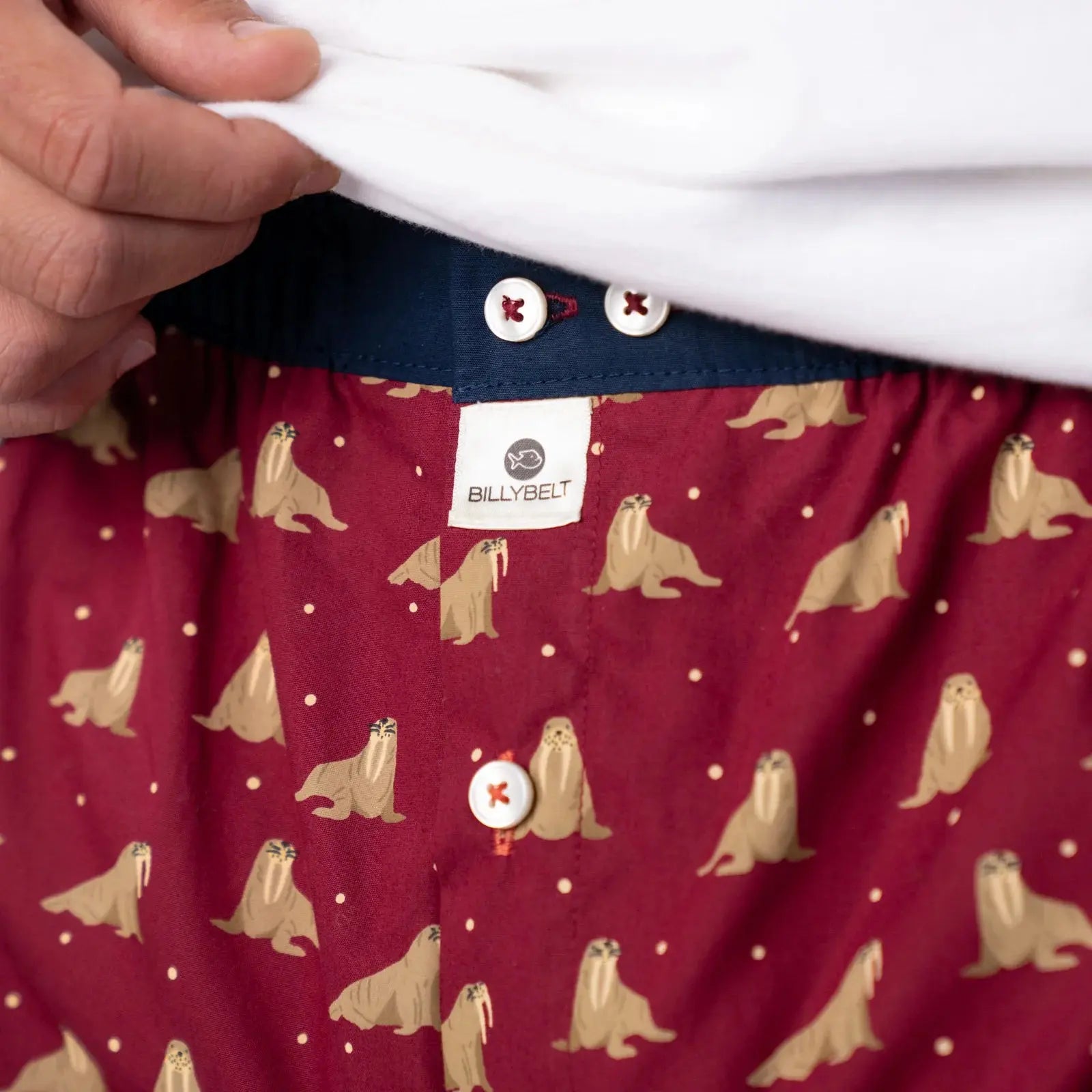 BILLYBELT -  CALEÇON WALRUS -  Klubb