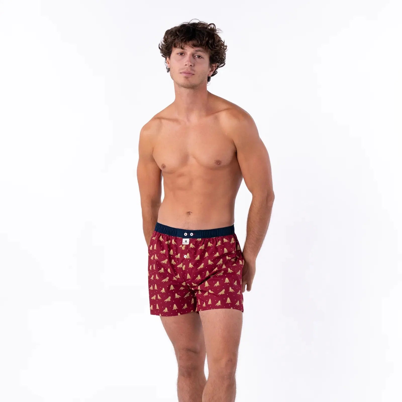 BILLYBELT -  CALEÇON WALRUS -  Klubb