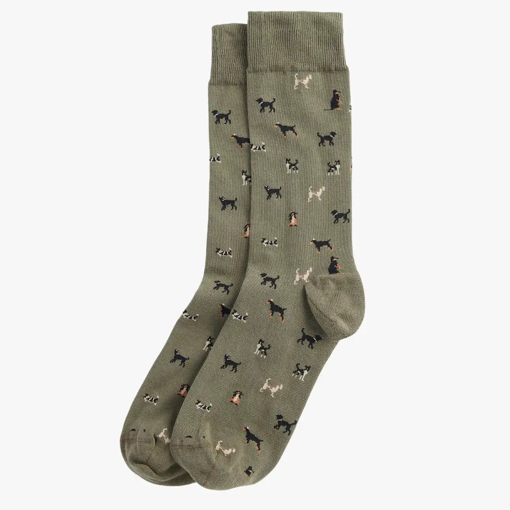 BARBOUR -  CHAUSSETTES MAVIN - CHIENS - VERT -  Klubb