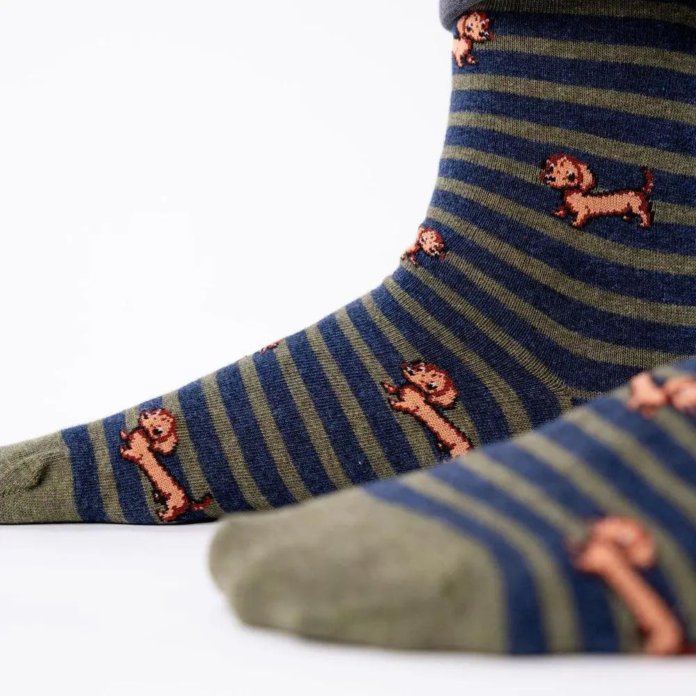 CHAUSSETTES - TECKELS BILLYBELT -  Klubb