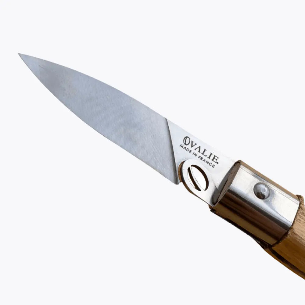 COUTEAU EN OLIVIER FRANCE RUGBY