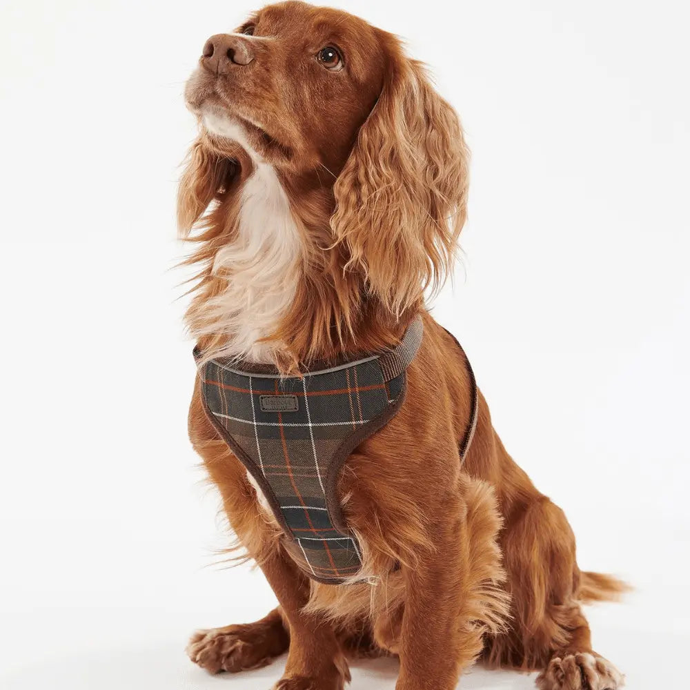 HARNAIS TARTAN VOYAGE & EXERCICE