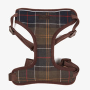 ARNÉS TARTAN