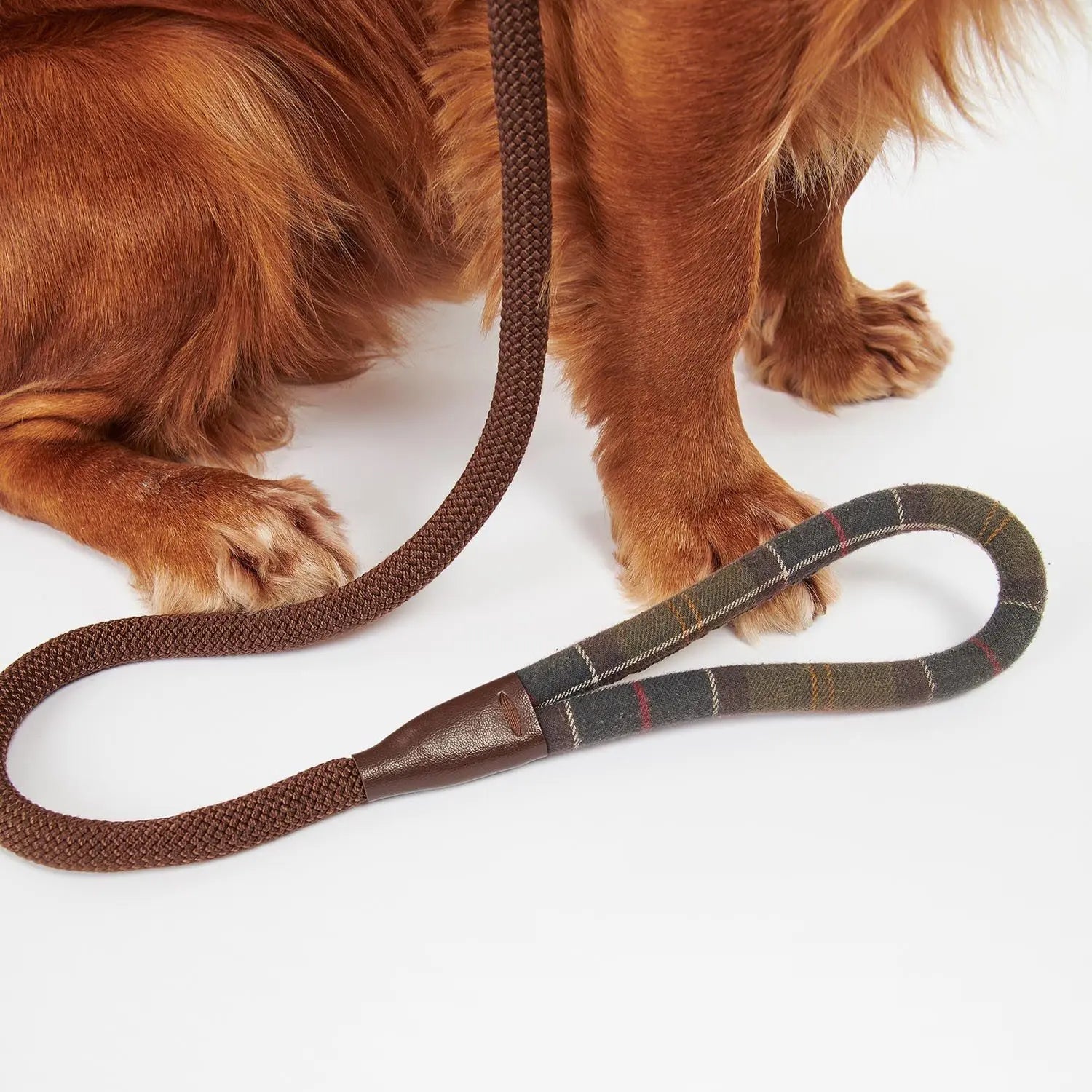 BARBOUR DOGS -  LAISSE COULISSANTE TARTAN -  Klubb