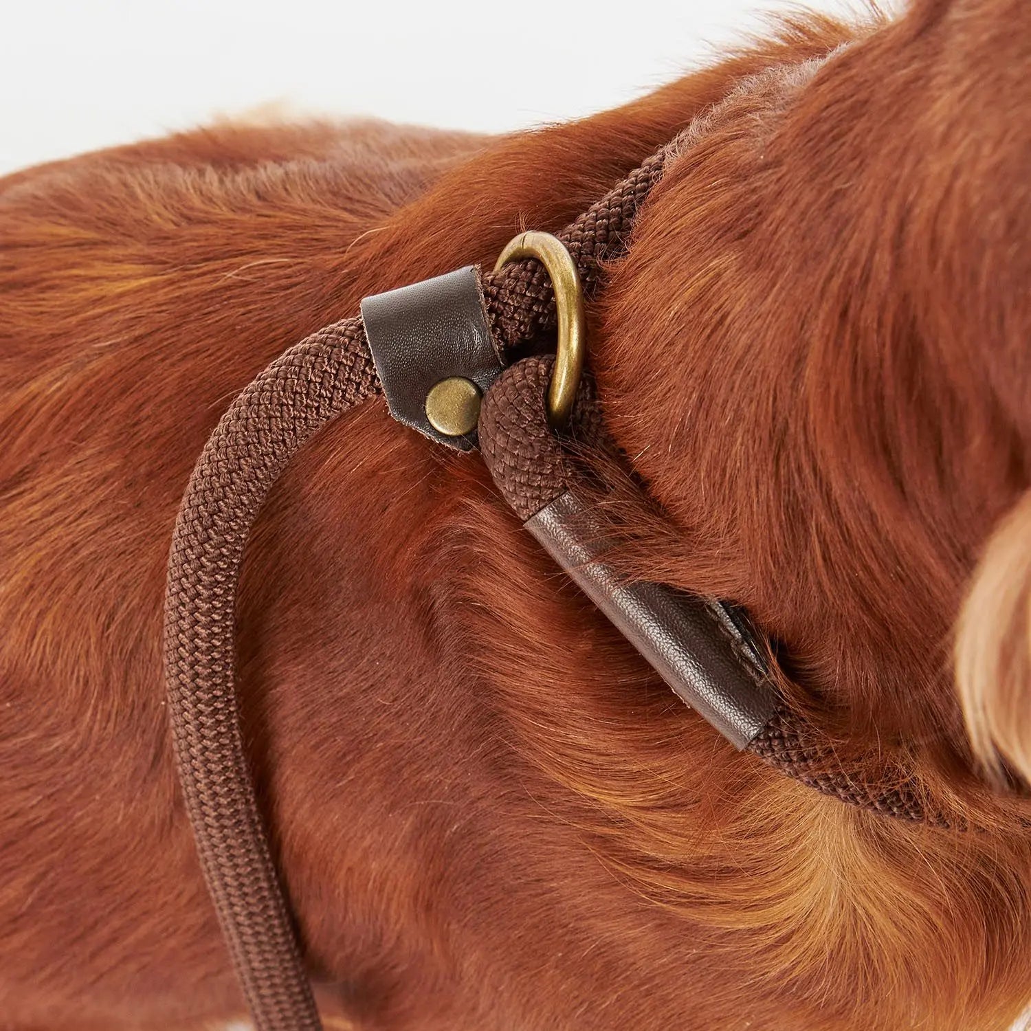 BARBOUR DOGS -  LAISSE COULISSANTE TARTAN -  Klubb