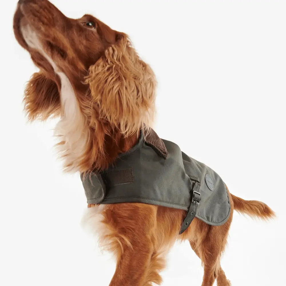 MANTEAU CIRÉ POUR CHIEN BARBOUR DOGS -  Klubb