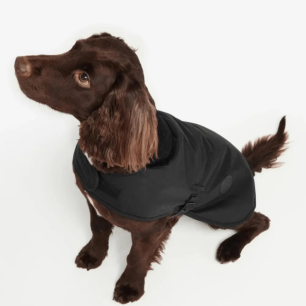 MANTEAU CIRÉ POUR CHIEN BARBOUR DOGS -  Klubb