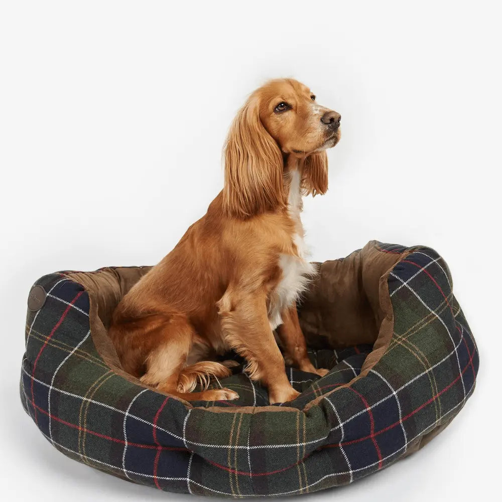 PANIER POUR CHIEN - L BARBOUR DOGS -  Klubb