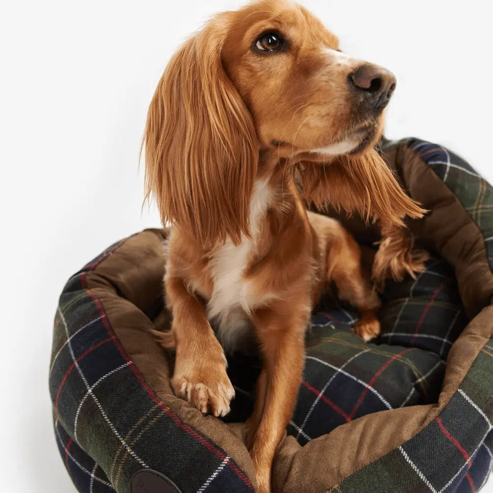 PANIER POUR CHIEN - L BARBOUR DOGS -  Klubb