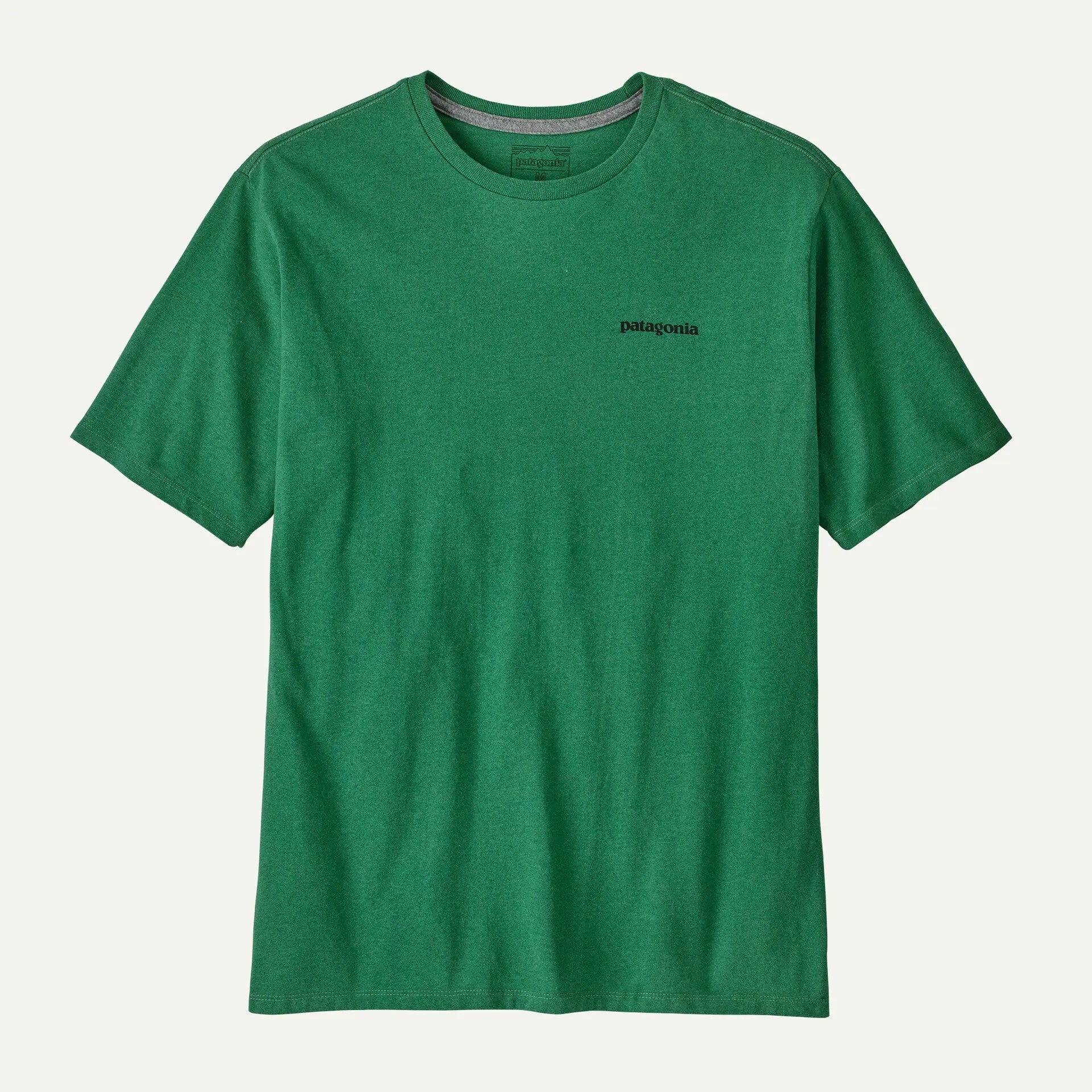 REPONSIBILI-TEE P6 LOGO - VERT PATAGONIA -  Klubb
