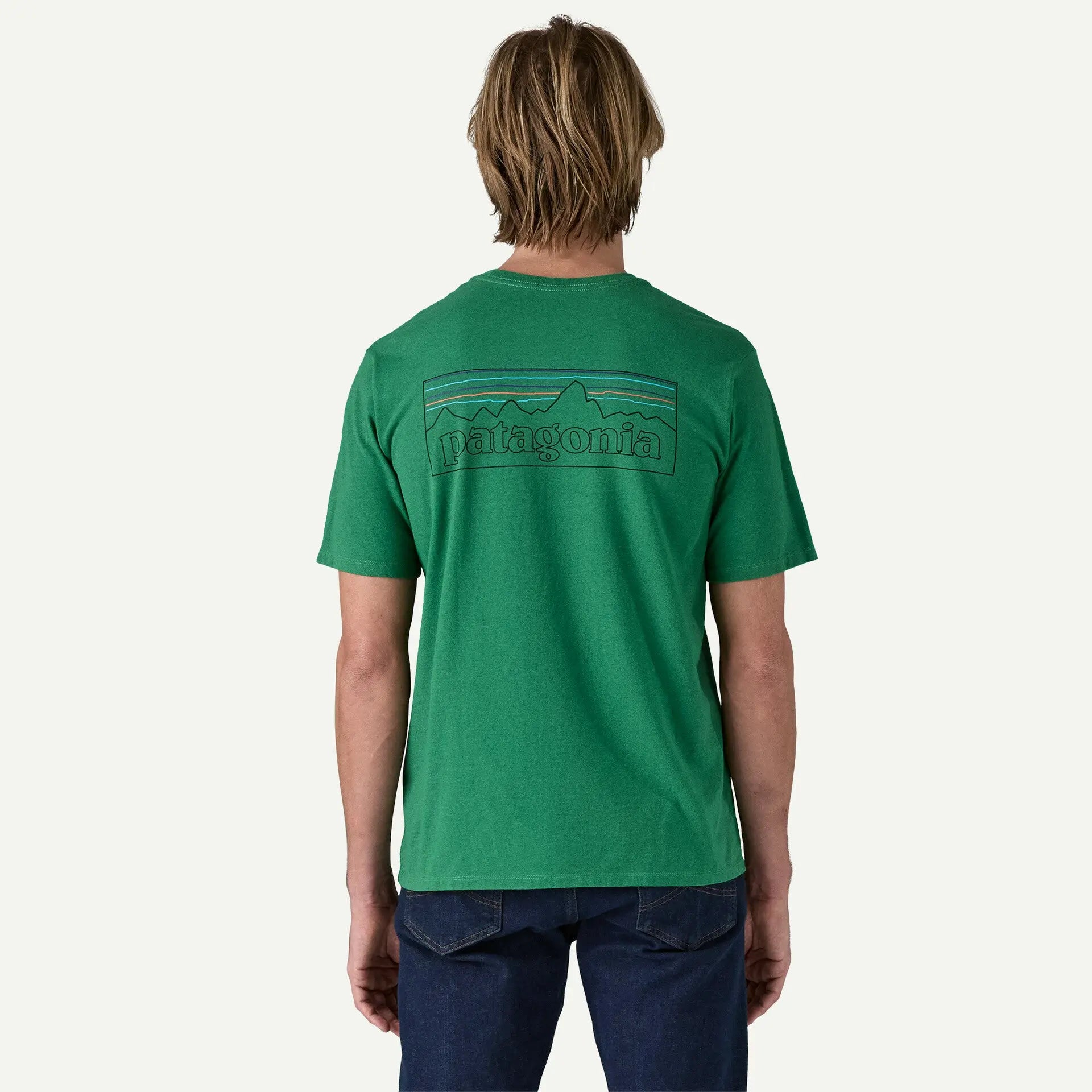 REPONSIBILI-TEE P6 LOGO - VERT PATAGONIA -  Klubb
