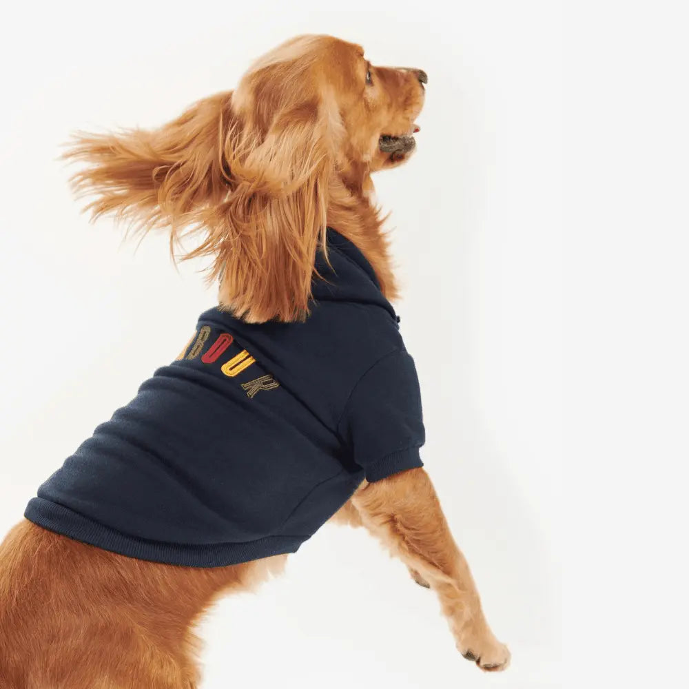 SUDADERA PERRO