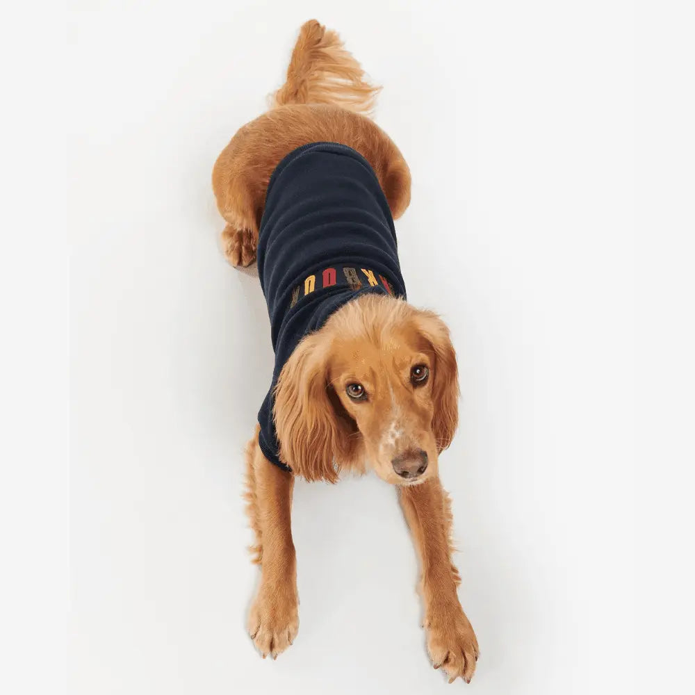 SUDADERA PERRO