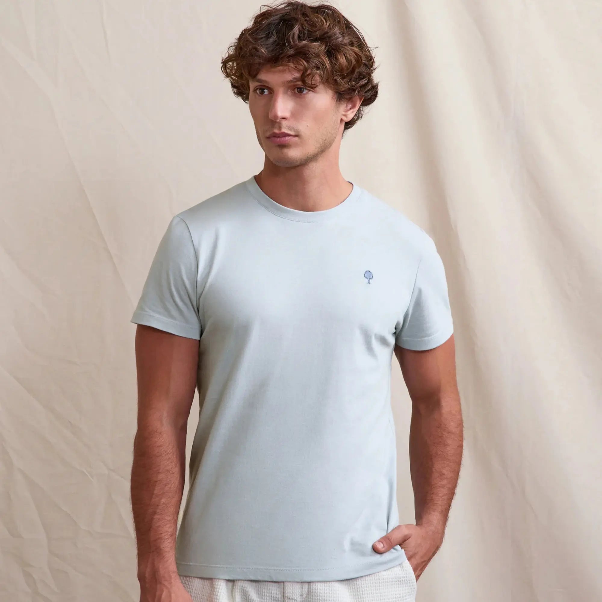 T-SHIRT ARCY BLEU GRISÉ