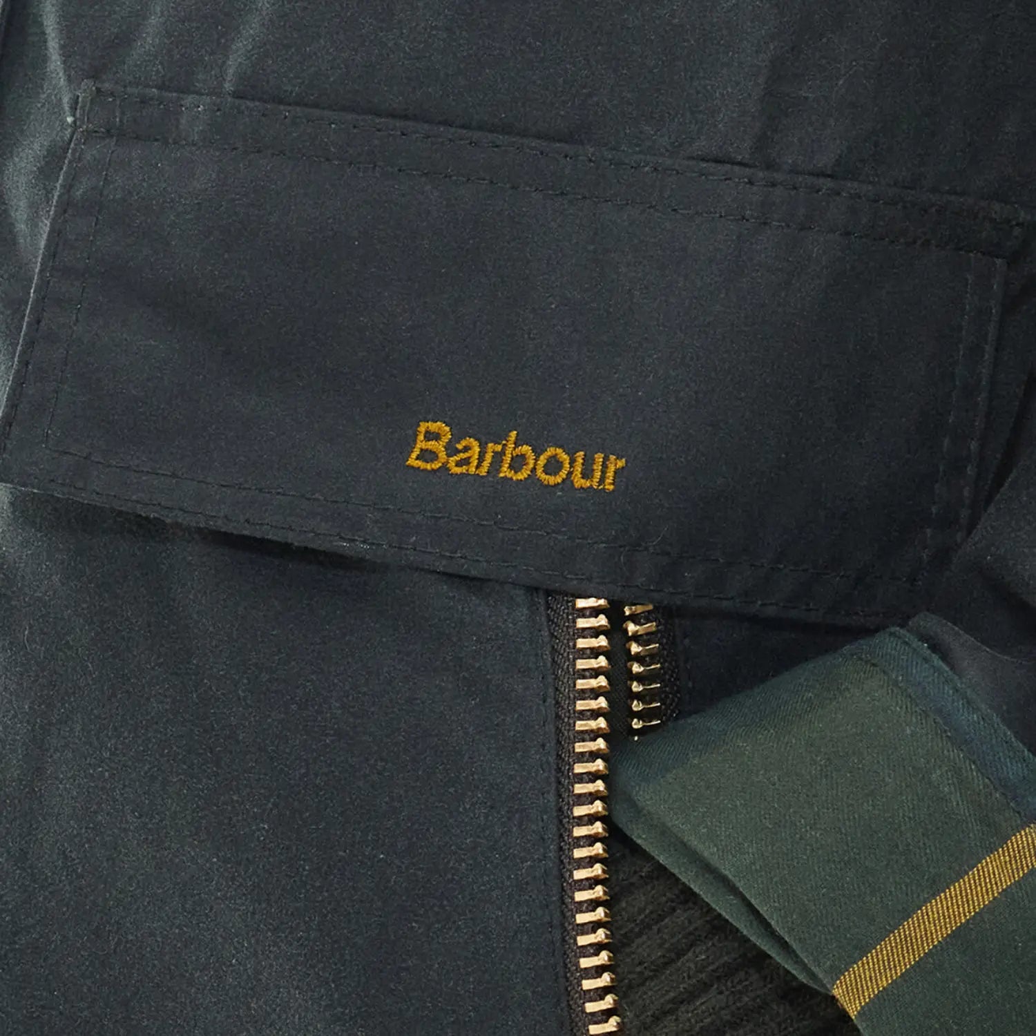 VESTE CATTON SAGE BARBOUR -  Klubb