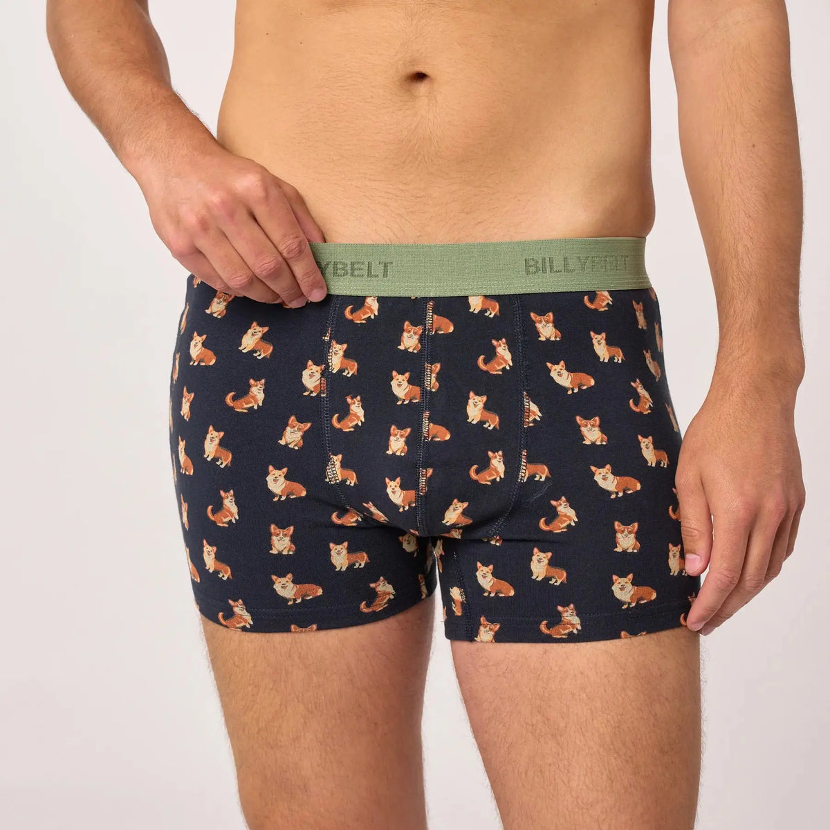 Boxer Corgi BillyBelt porté, vue rapprochée de face sur l'imprimé corgis roux et blancs