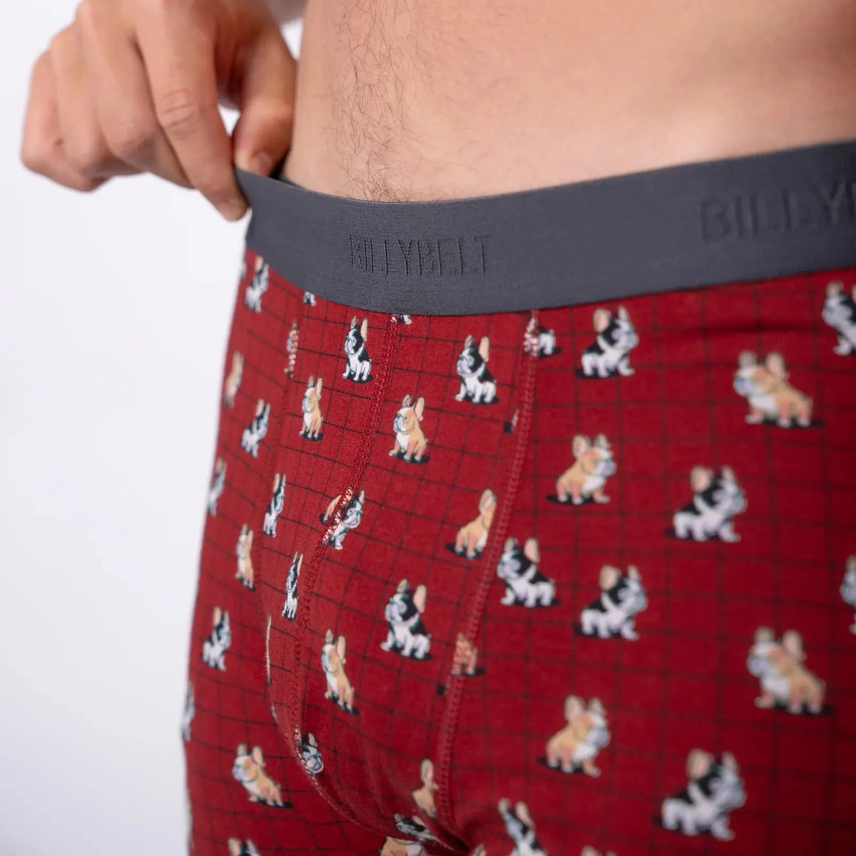 Gros plan sur la ceinture élastique gris anthracite marquée BILLYBELT ton sur ton, au-dessus des bouledogues