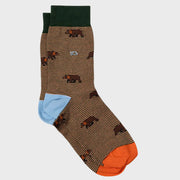 Chaussettes Ours BillyBelt marron à fines rayures vertes, talon bleu ciel et pointe orange, vue à plat