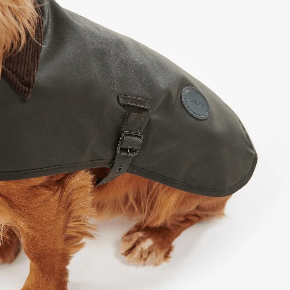 Sangle ventrale bouclée du manteau ciré olive porté, patch cuir ovale Barbour sur le flanc