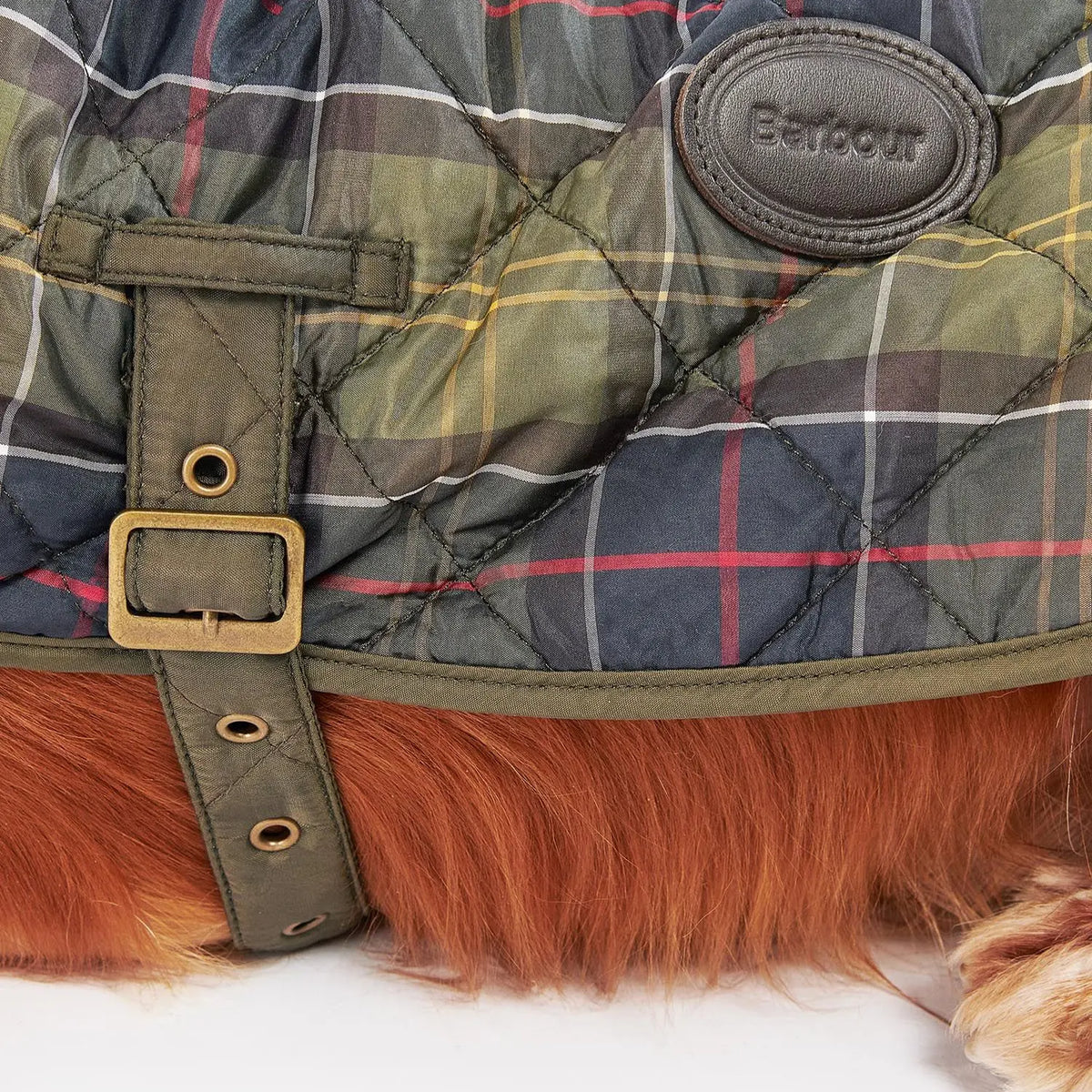 Sangle ventrale bouclée et patch cuir ovale Barbour sur le manteau tartan porté
