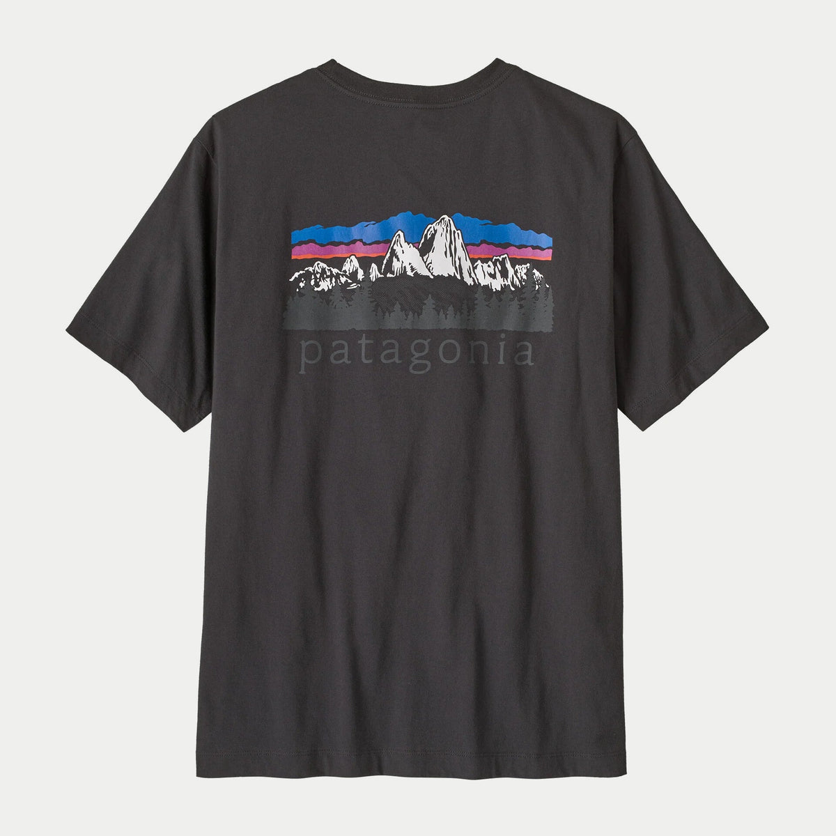T-shirt Patagonia Fitz Roy Foothills Ink Black - imprimé du dos, à plat