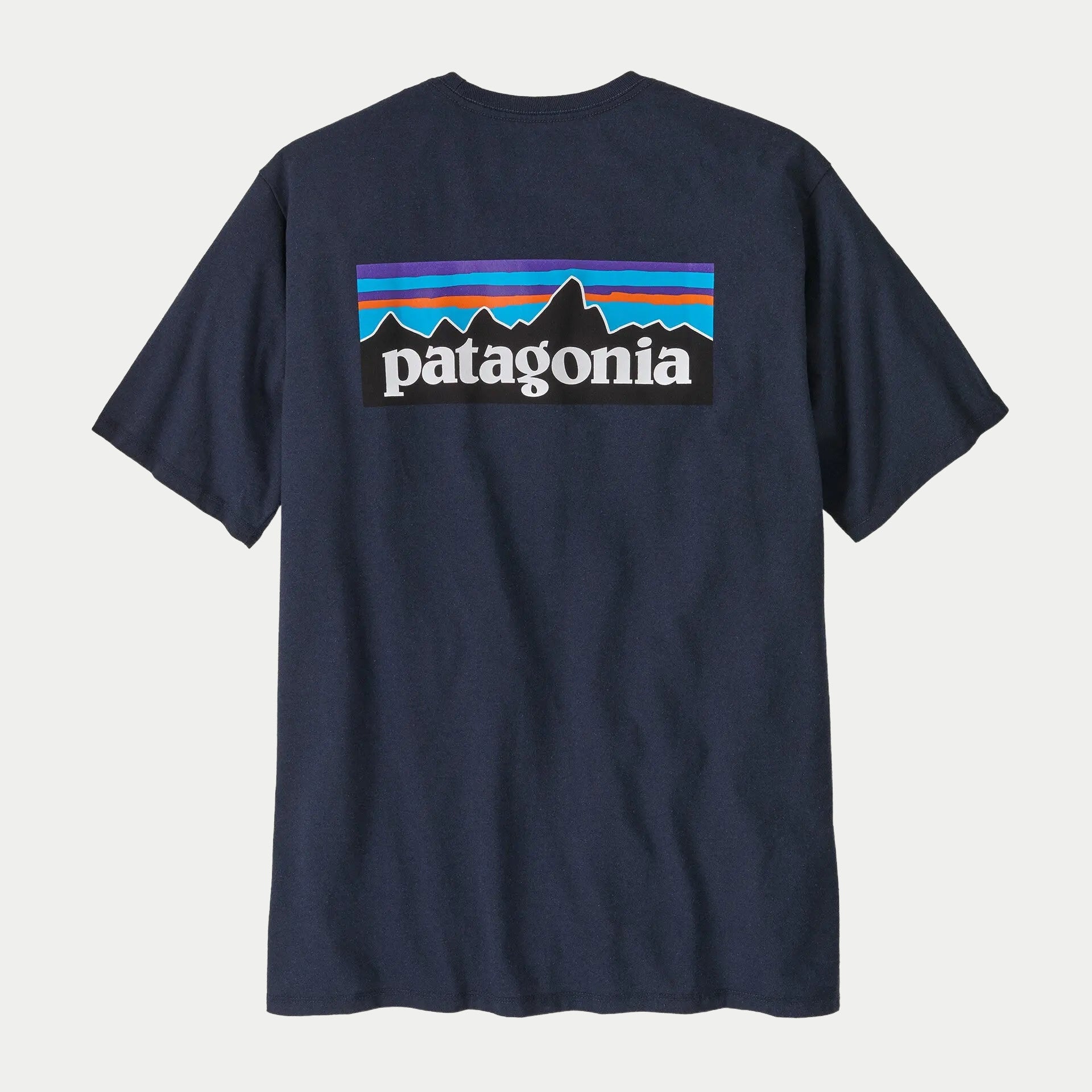 T-shirt Responsibili-tee - Bleu - Patagonia