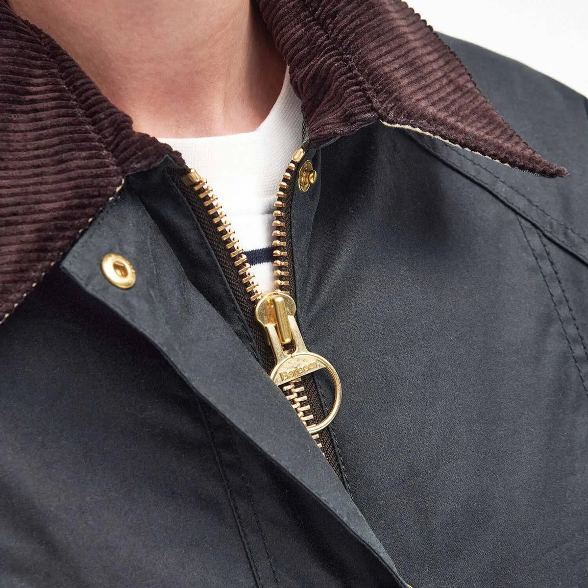 Macro du col velours et du zip à anneau doré de la Veste cirée Barbour Modern Beadnell Sage