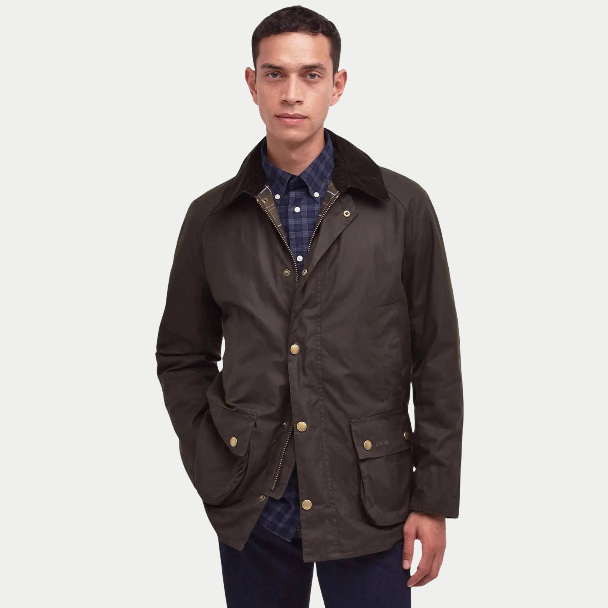 Veste Ashby - Olive - Barbour - détail 2