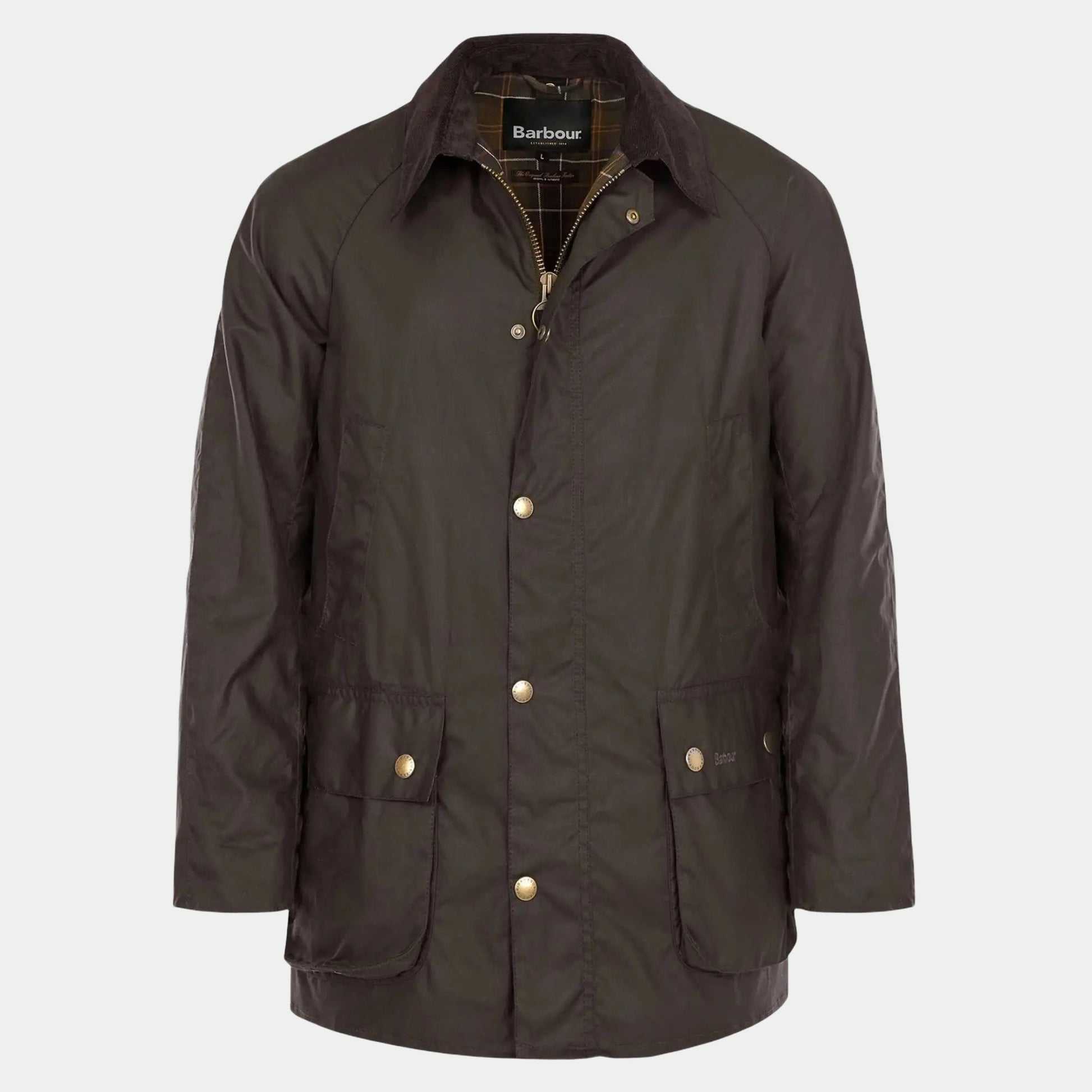 Veste Ashby - Olive - Barbour