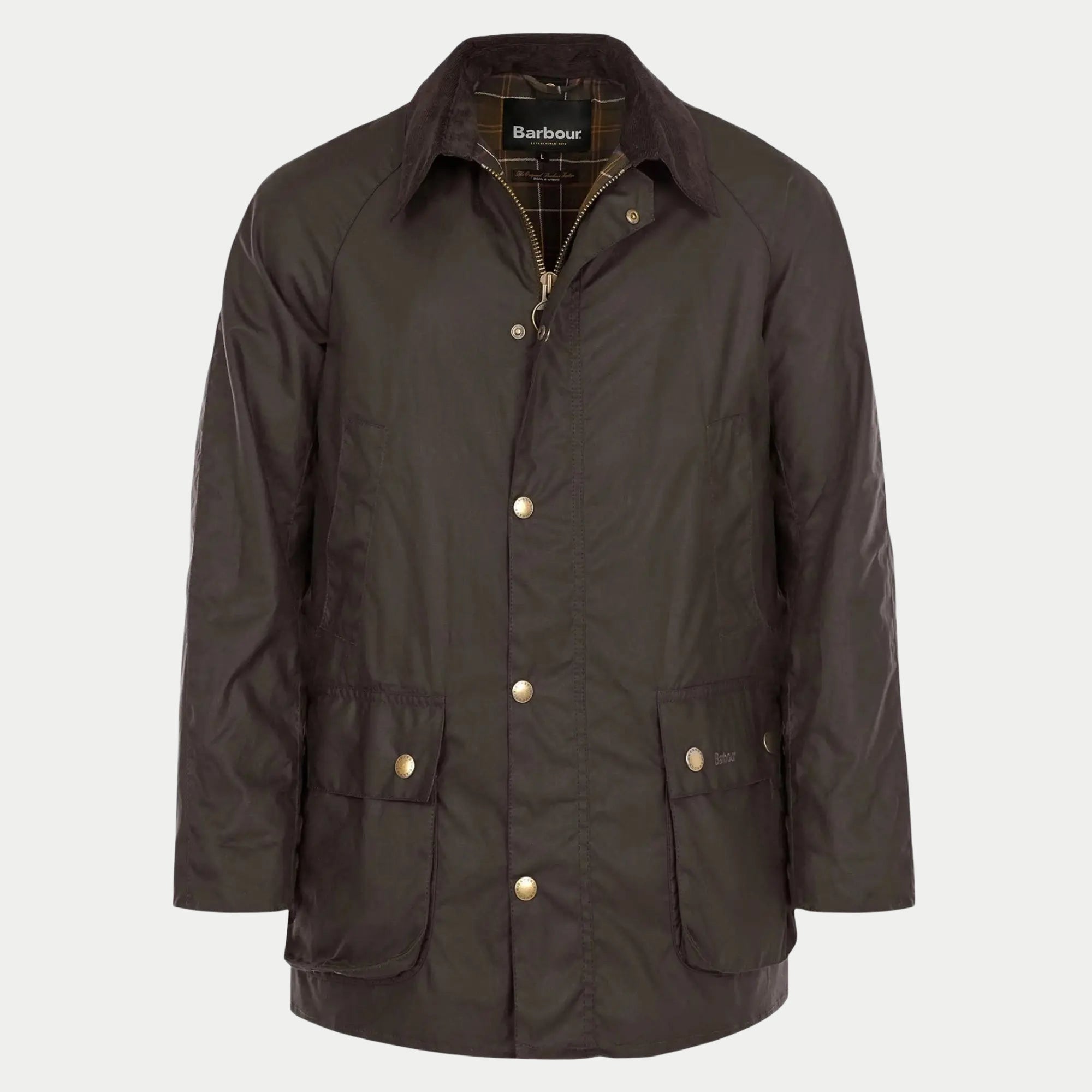Veste Ashby - Olive - Barbour